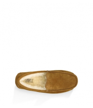Mens Ascot - Suede Chestnut 5775
